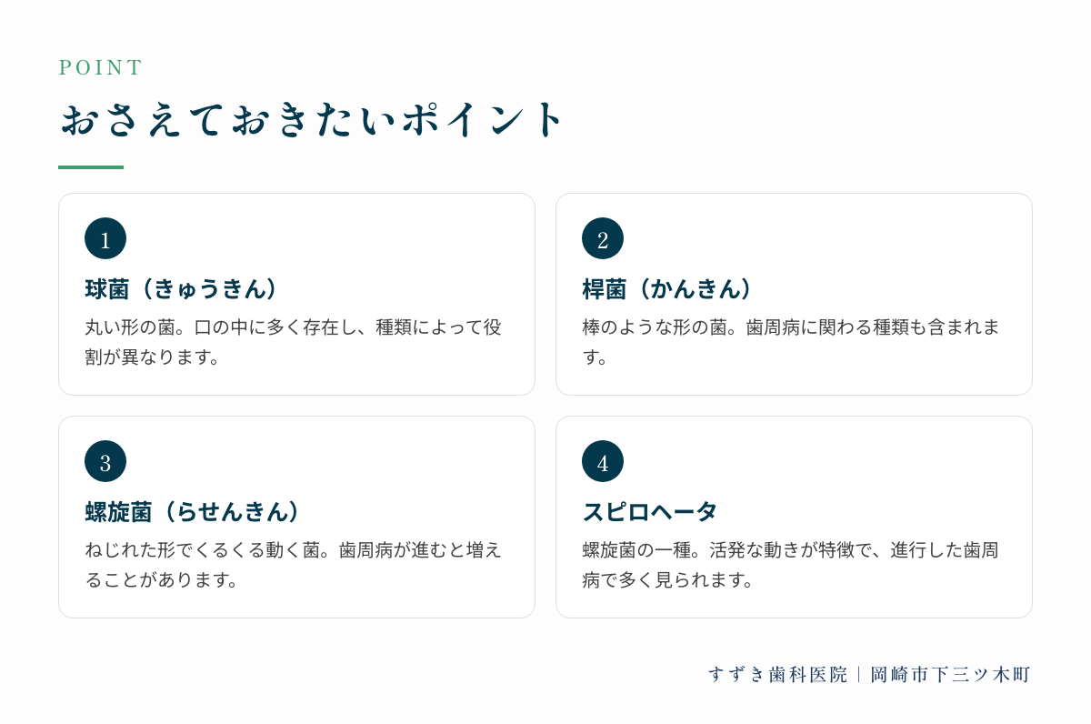 おさえておきたいポイント:球菌(きゅうきん)、桿菌(かんきん)、螺旋菌(らせんきん)、スピロヘータ